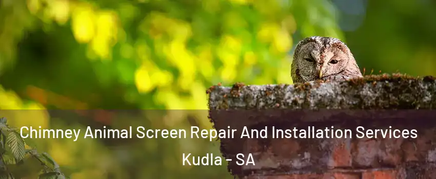  Chimney Animal Screen Repair And Installation Services Kudla - SA