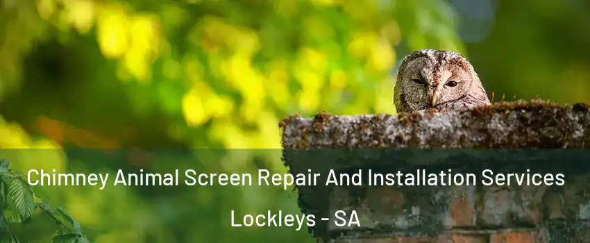  Chimney Animal Screen Repair And Installation Services Lockleys - SA