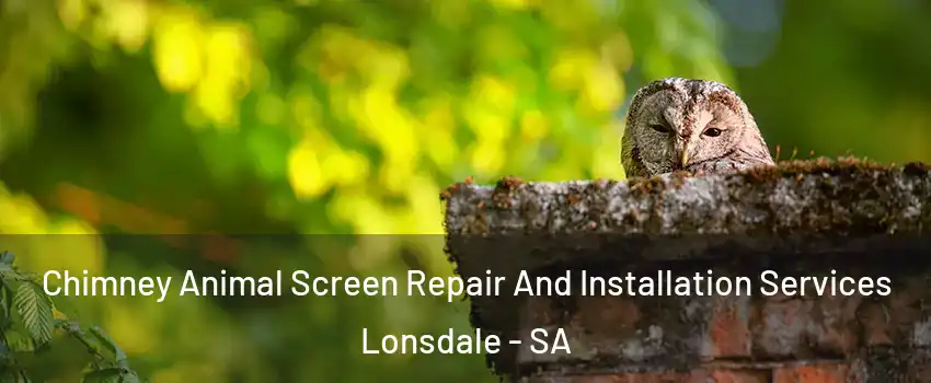  Chimney Animal Screen Repair And Installation Services Lonsdale - SA