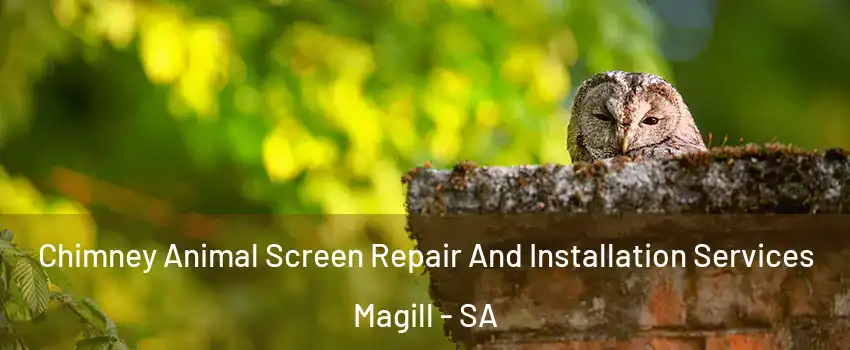  Chimney Animal Screen Repair And Installation Services Magill - SA