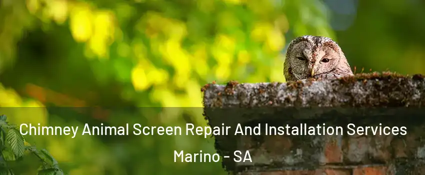  Chimney Animal Screen Repair And Installation Services Marino - SA