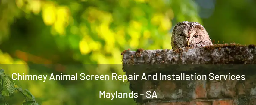  Chimney Animal Screen Repair And Installation Services Maylands - SA