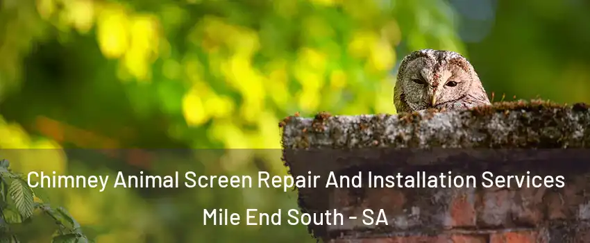  Chimney Animal Screen Repair And Installation Services Mile End South - SA
