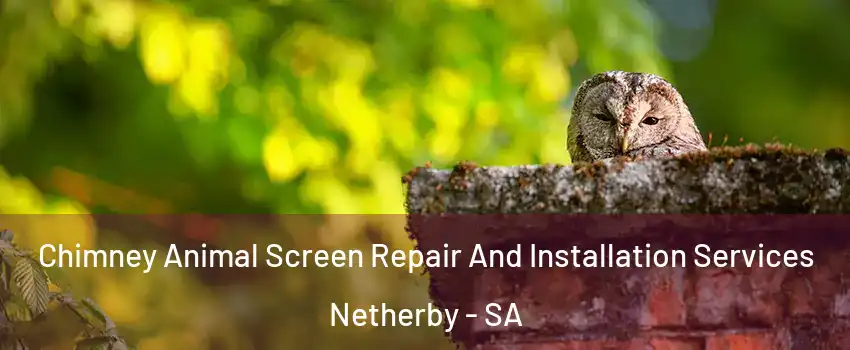  Chimney Animal Screen Repair And Installation Services Netherby - SA