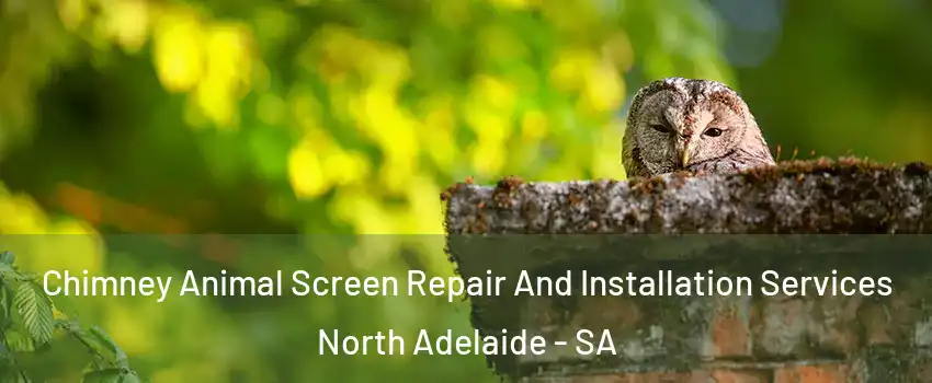  Chimney Animal Screen Repair And Installation Services North Adelaide - SA