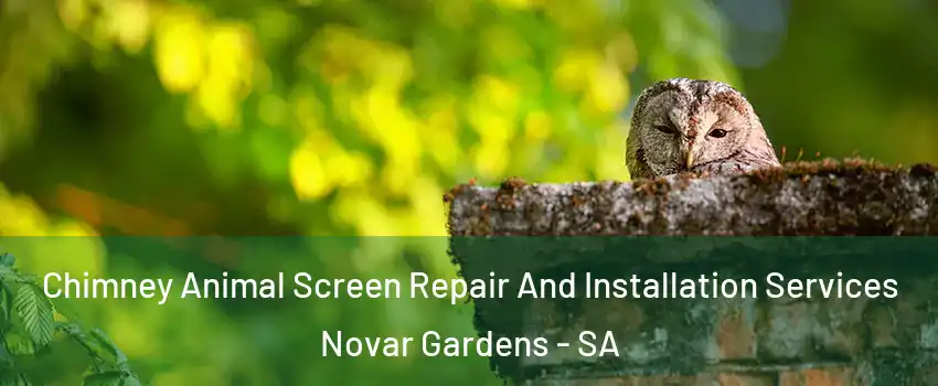  Chimney Animal Screen Repair And Installation Services Novar Gardens - SA