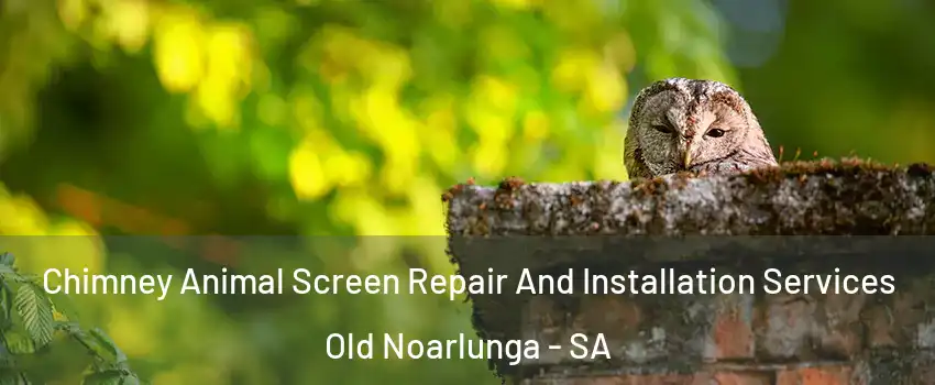  Chimney Animal Screen Repair And Installation Services Old Noarlunga - SA