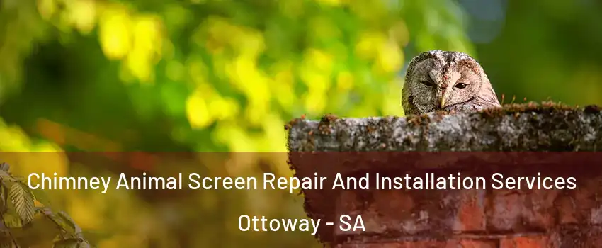  Chimney Animal Screen Repair And Installation Services Ottoway - SA