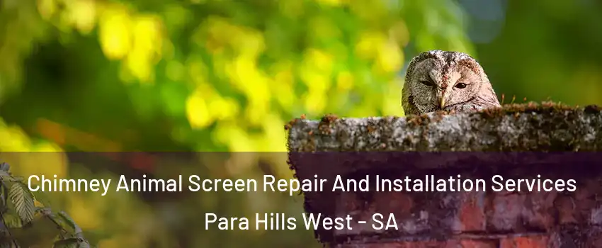  Chimney Animal Screen Repair And Installation Services Para Hills West - SA