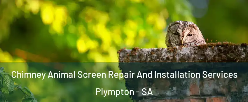  Chimney Animal Screen Repair And Installation Services Plympton - SA
