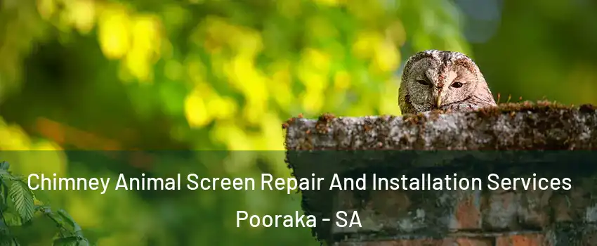  Chimney Animal Screen Repair And Installation Services Pooraka - SA