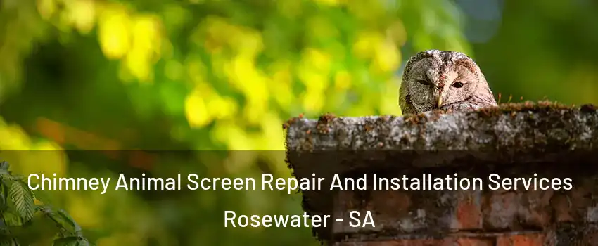  Chimney Animal Screen Repair And Installation Services Rosewater - SA