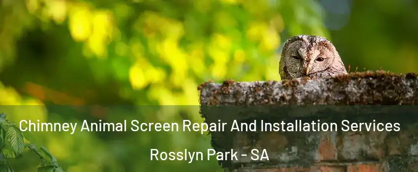  Chimney Animal Screen Repair And Installation Services Rosslyn Park - SA