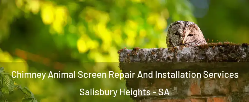  Chimney Animal Screen Repair And Installation Services Salisbury Heights - SA