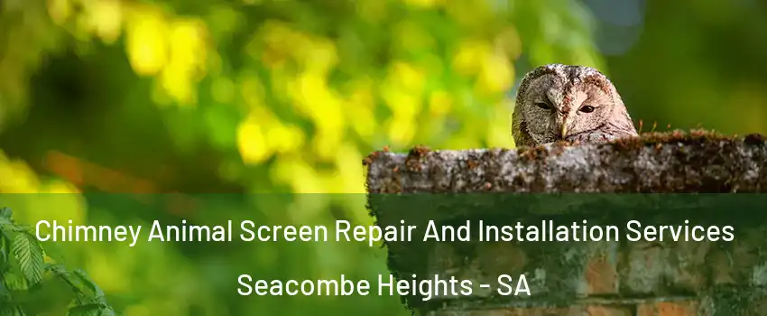  Chimney Animal Screen Repair And Installation Services Seacombe Heights - SA