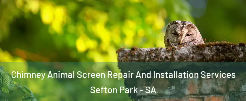  Chimney Animal Screen Repair And Installation Services Sefton Park - SA