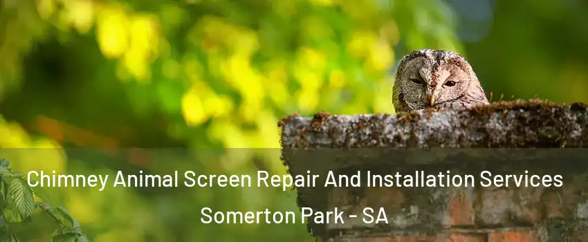  Chimney Animal Screen Repair And Installation Services Somerton Park - SA