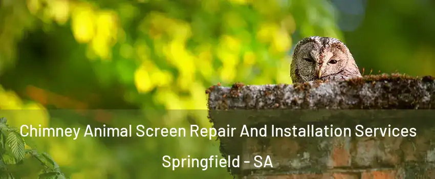  Chimney Animal Screen Repair And Installation Services Springfield - SA