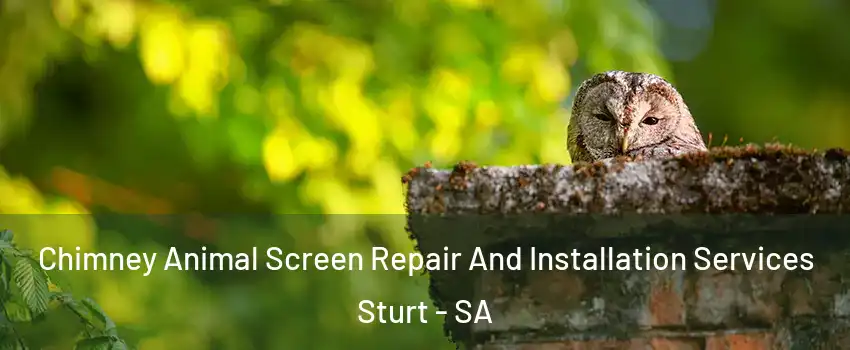  Chimney Animal Screen Repair And Installation Services Sturt - SA