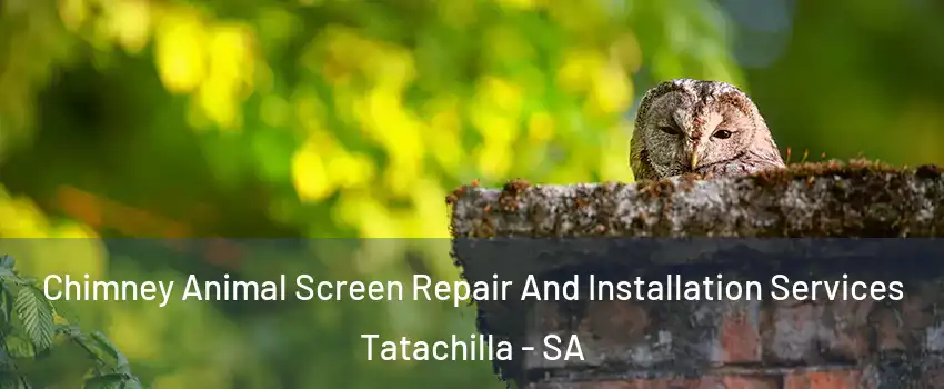  Chimney Animal Screen Repair And Installation Services Tatachilla - SA