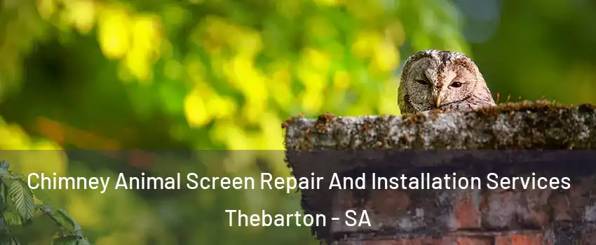  Chimney Animal Screen Repair And Installation Services Thebarton - SA