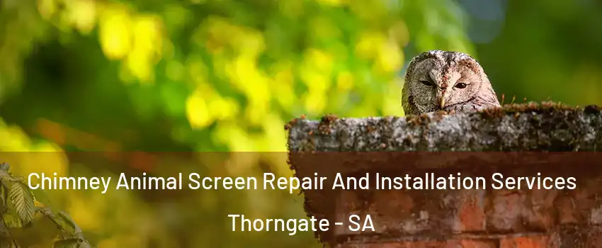  Chimney Animal Screen Repair And Installation Services Thorngate - SA