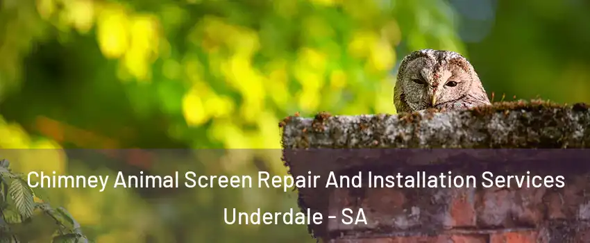  Chimney Animal Screen Repair And Installation Services Underdale - SA