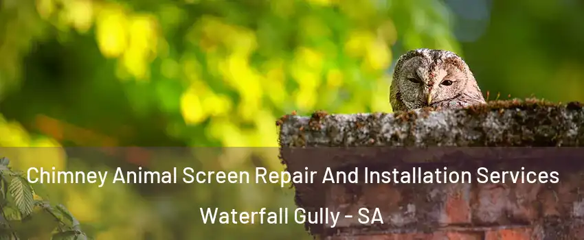  Chimney Animal Screen Repair And Installation Services Waterfall Gully - SA