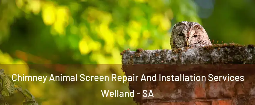  Chimney Animal Screen Repair And Installation Services Welland - SA