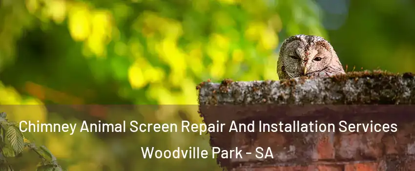  Chimney Animal Screen Repair And Installation Services Woodville Park - SA