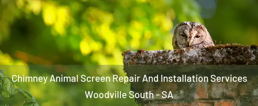  Chimney Animal Screen Repair And Installation Services Woodville South - SA
