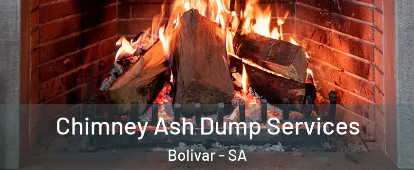 Chimney Ash Dump Services Bolivar - SA