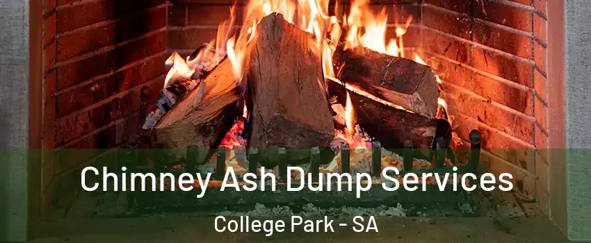 Chimney Ash Dump Services College Park - SA
