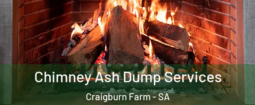 Chimney Ash Dump Services Craigburn Farm - SA