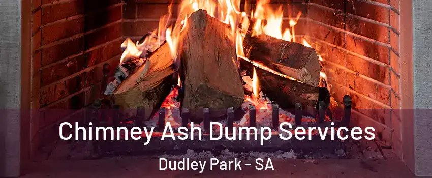 Chimney Ash Dump Services Dudley Park - SA