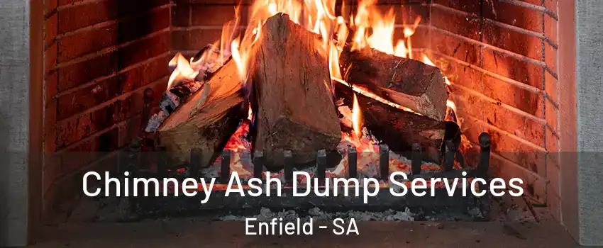 Chimney Ash Dump Services Enfield - SA