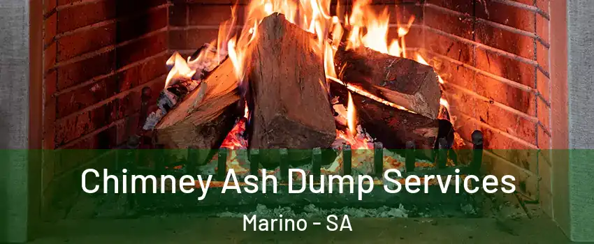  Chimney Ash Dump Services Marino - SA