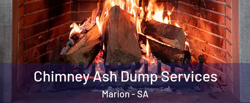  Chimney Ash Dump Services Marion - SA