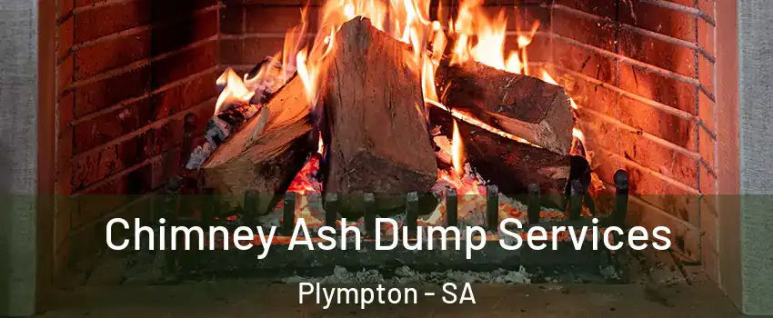 Chimney Ash Dump Services Plympton - SA