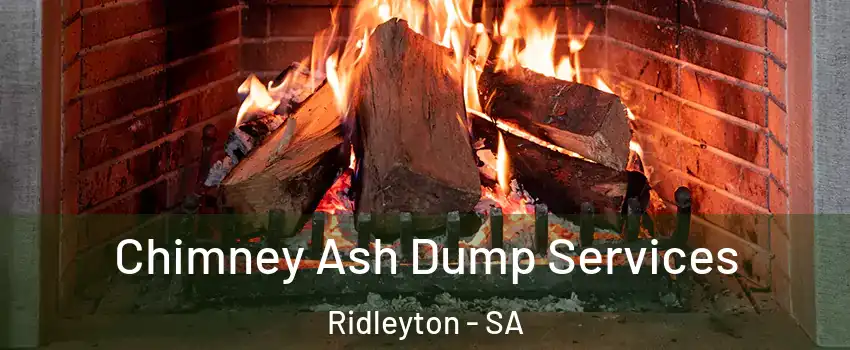  Chimney Ash Dump Services Ridleyton - SA
