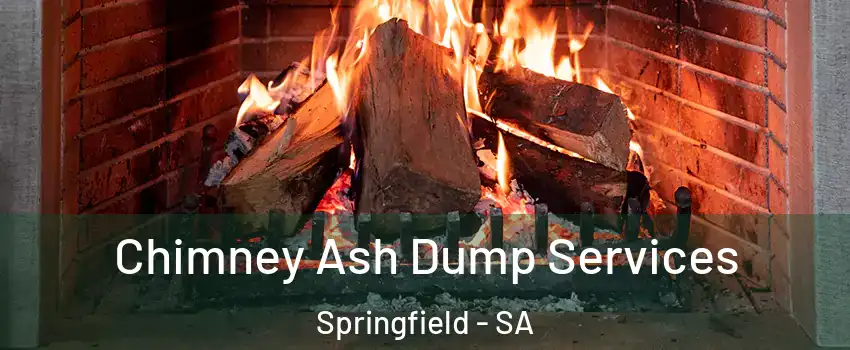  Chimney Ash Dump Services Springfield - SA