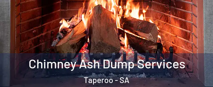  Chimney Ash Dump Services Taperoo - SA