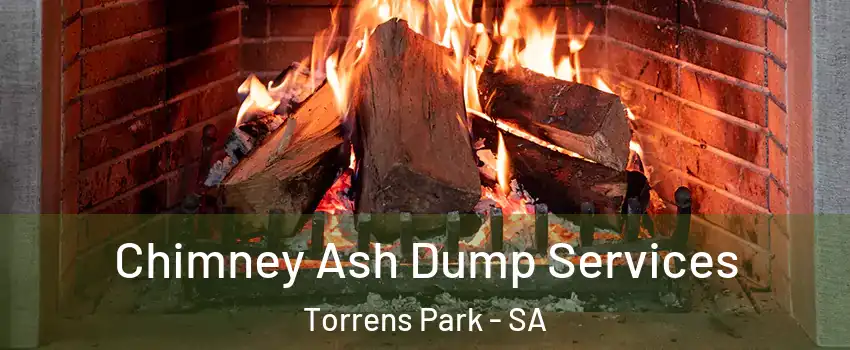 Chimney Ash Dump Services Torrens Park - SA