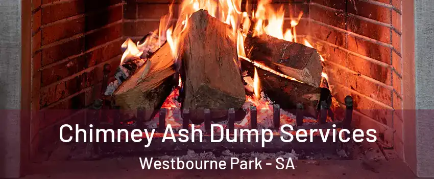  Chimney Ash Dump Services Westbourne Park - SA