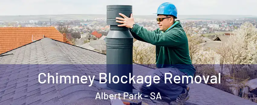 Chimney Blockage Removal Albert Park - SA