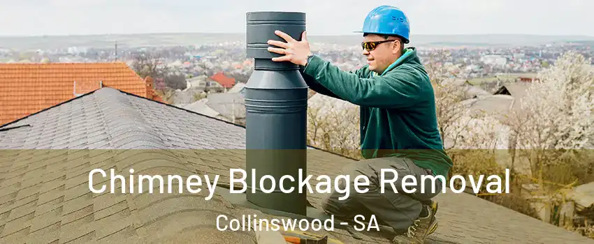 Chimney Blockage Removal Collinswood - SA