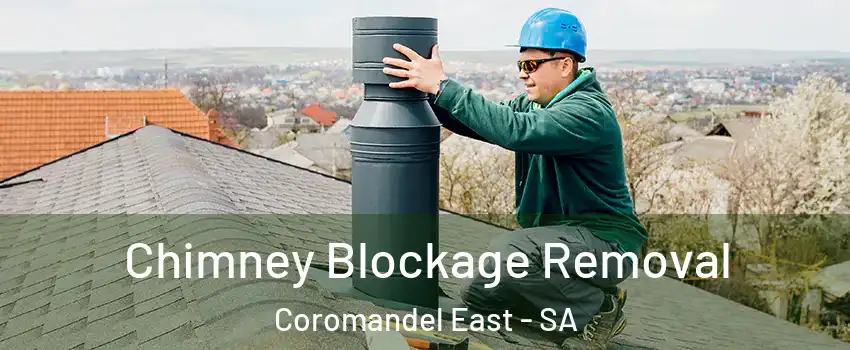 Chimney Blockage Removal Coromandel East - SA