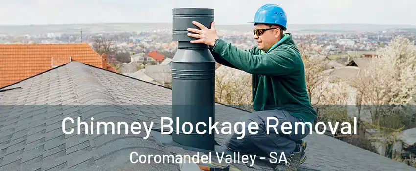 Chimney Blockage Removal Coromandel Valley - SA
