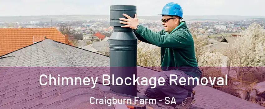  Chimney Blockage Removal Craigburn Farm - SA