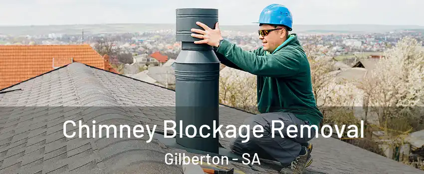 Chimney Blockage Removal Gilberton - SA